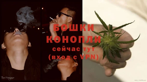 эйфоретик Новодвинск