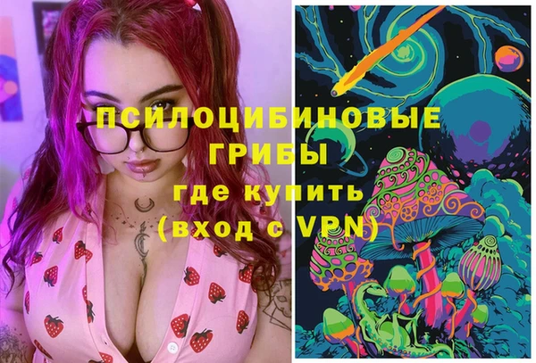 герыч Няндома