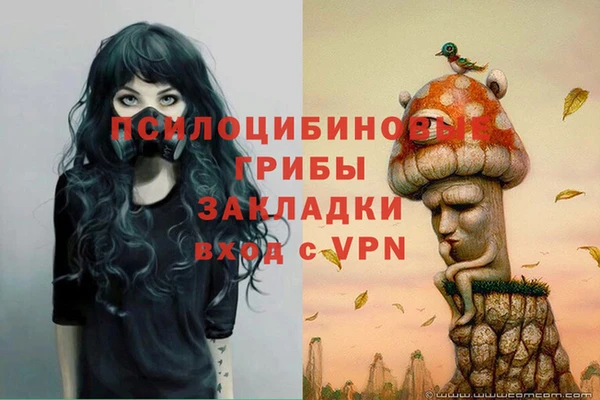 эйфоретик Новодвинск