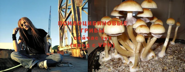 герыч Няндома